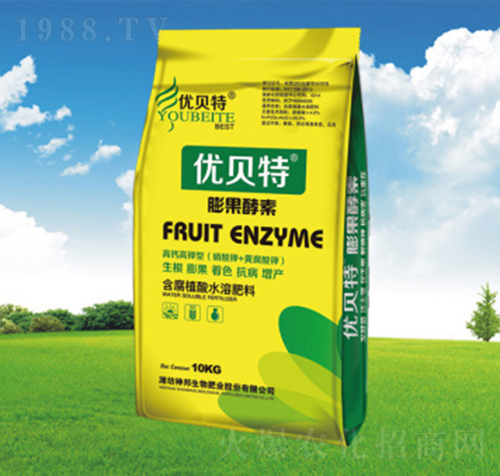 �������-�������