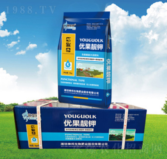 ��(y��u)���n�-��(y��u)ؐ��-�������