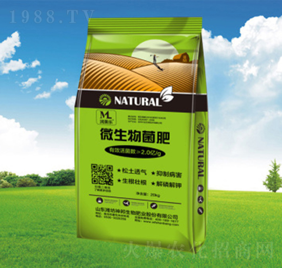 ΢�������-�������