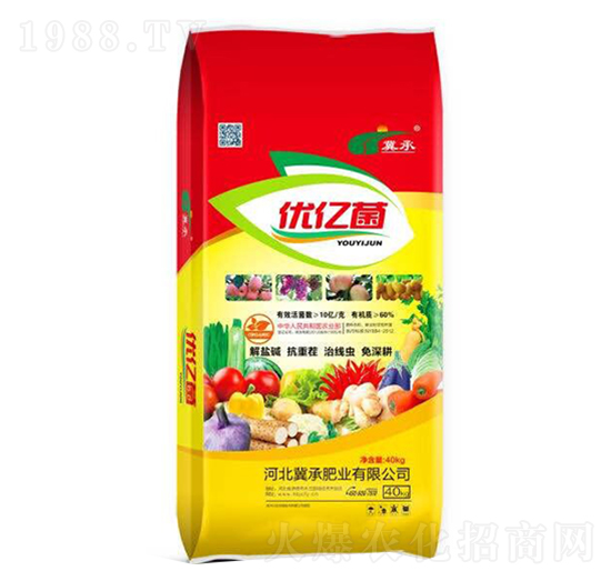 ��(y��u)�|��-���зʘI(y��)