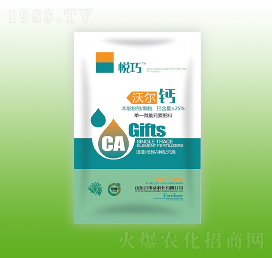 �֠��}-����-�f���_