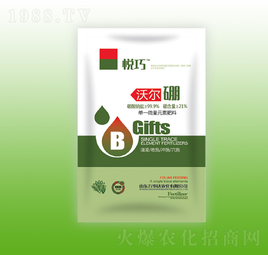 �֠���-����-�f���_(d��)