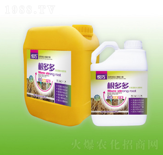 �����-����-�f(w��n)���_(d��)