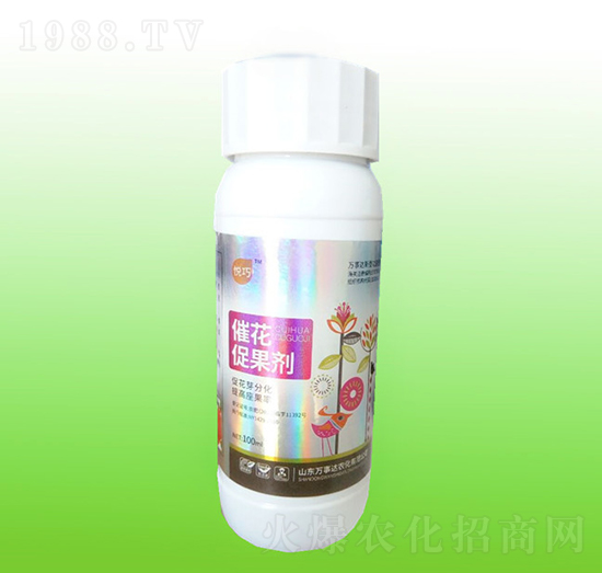 �߻��ٹ���-����-�f���_(d��)