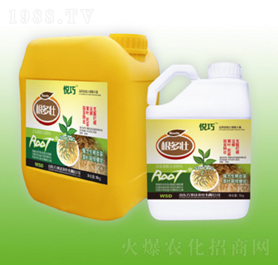 ������-����-�f(w��n)���_(d��)