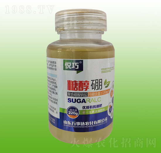 �Ǵ���-����-�f���_