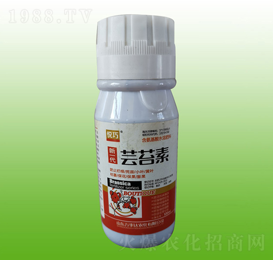 �|̦��-����-�f(w��n)���_(d��)