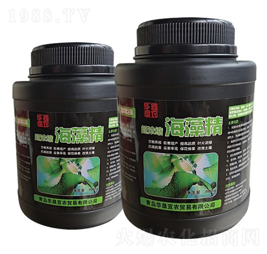 ����s���徫-�A�����r(n��ng)