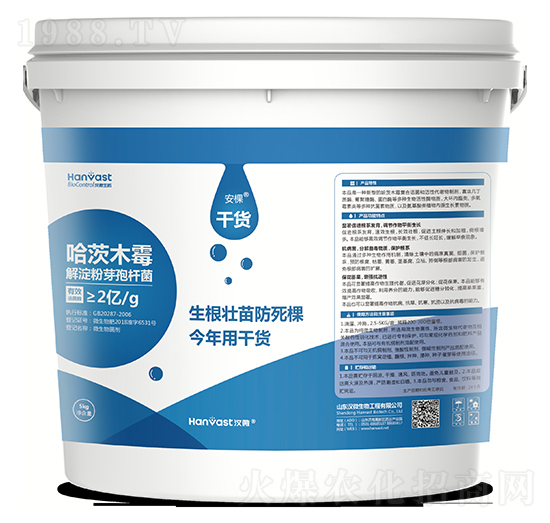 ����-��؛-�h΢����