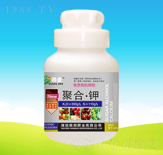 ��(y��u)�|(zh��)�ЙC⛷�-�ۺϡ��-�n��ʘI(y��)