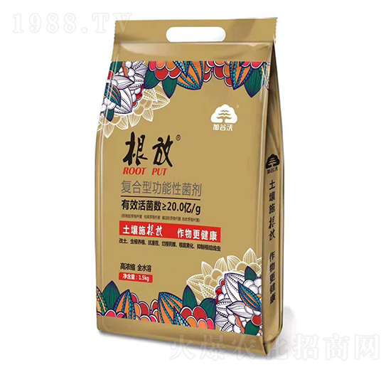 �ͺ��͹����Ծ���-����-�ӹ���