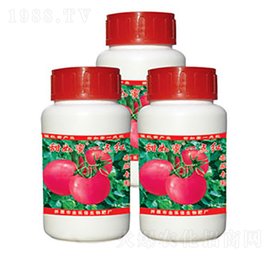 ���ь���һ�c(di��n)�t-������