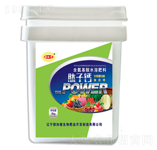 �����}Ͱ��-������