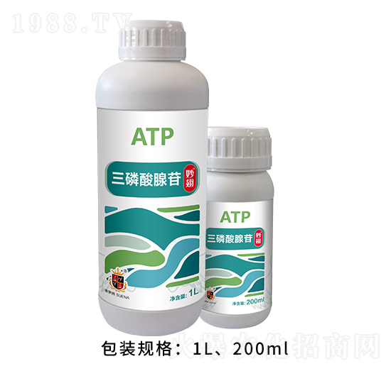 ����������-���