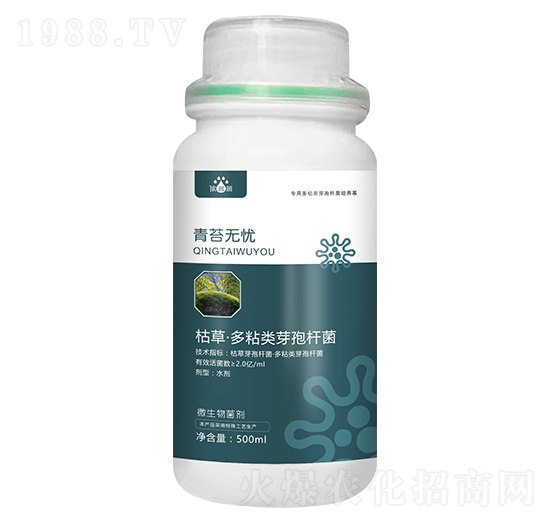 ��̦�o�n-��p�p-�������