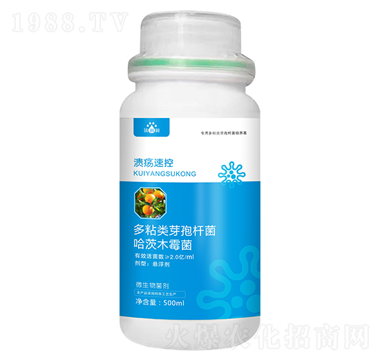 �����ٿ�-��p�p-�������