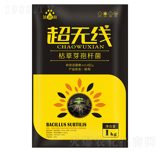 ���o(w��)�����ݲ�ѿ�ߗU����-��p�p-�������