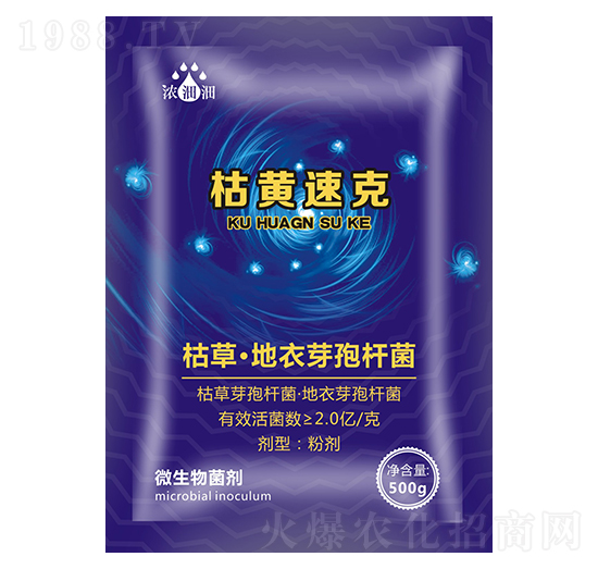 ���S�ٿˣ�΢���������-��p�p-�������