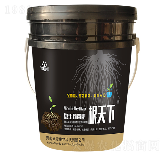 �����£�΢������ʣ�-��p�p-�������