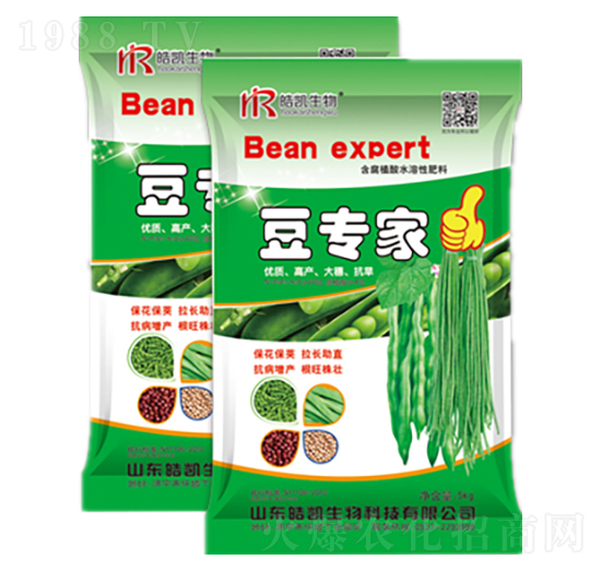 ������-�P����