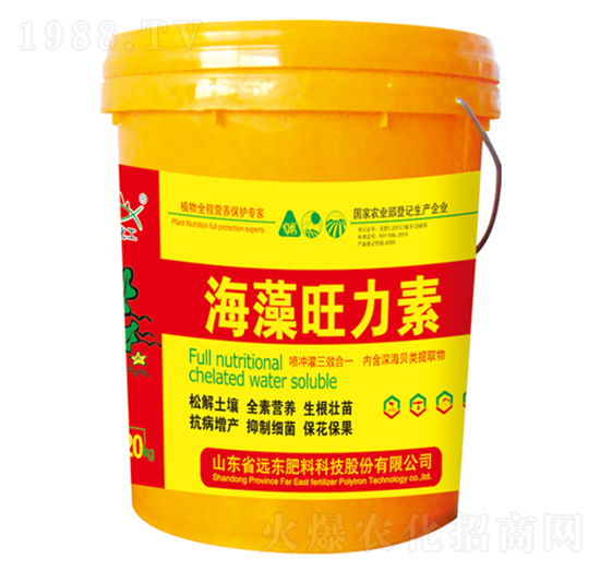 ����������-�h(yu��n)�|����