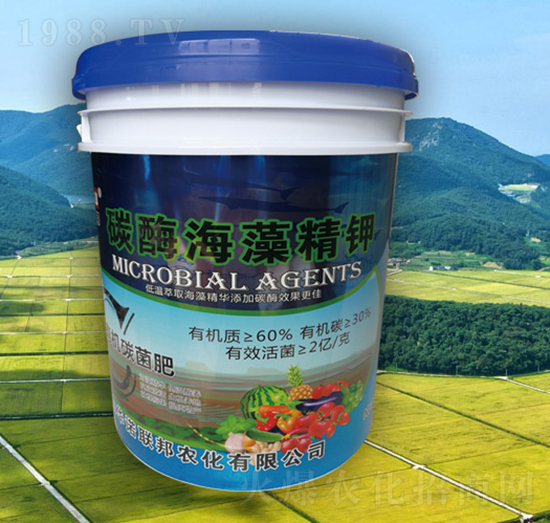 ̼ø���徫�-�A�Z��