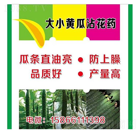 ����С�S��պ��ˎ-�����r(n��ng)�I(y��)