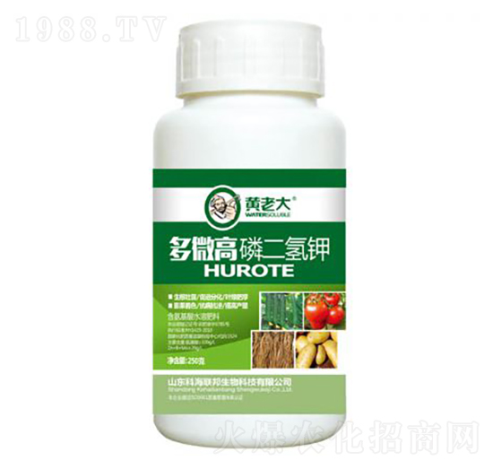 ��΢���׶����-�S�ϴ�-�ƺ���