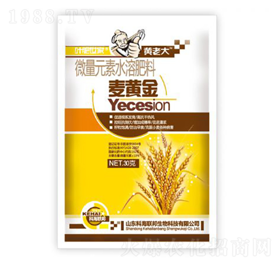 ���S��-�S�ϴ�-�ƺ���