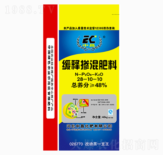 ��ጓ������28-10-10-�в�����