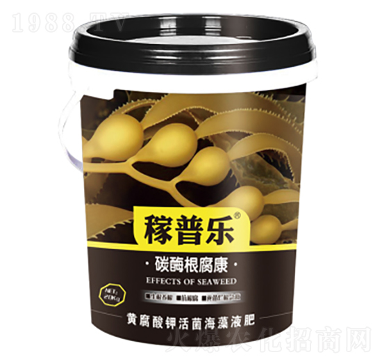 ̼ø������-���՘�-��(r��n)�ɷʘI(y��)