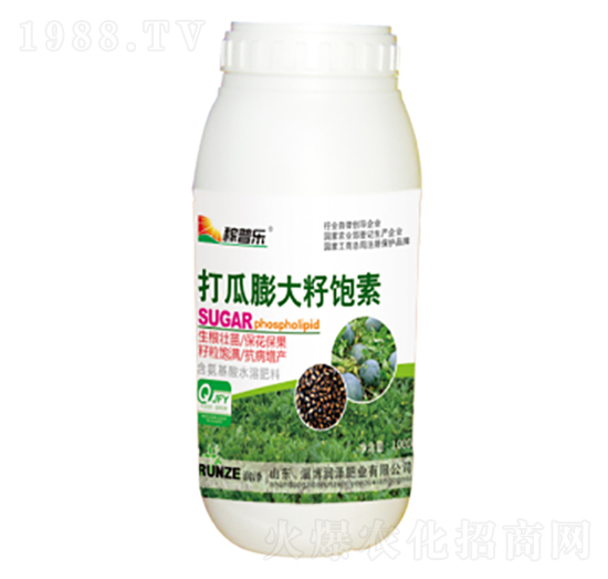 �����������-���՘�(l��)-��(r��n)�ɷʘI(y��)