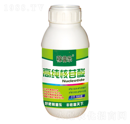 �߼�������-���՘�(l��)-��(r��n)�ɷʘI(y��)