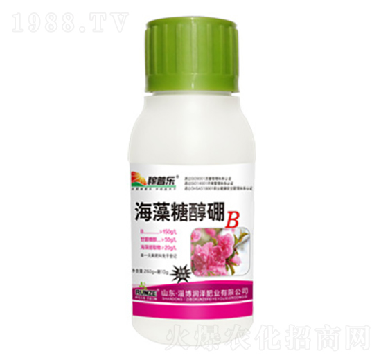 �����Ǵ���-���՘�(l��)-��(r��n)�ɷʘI(y��)