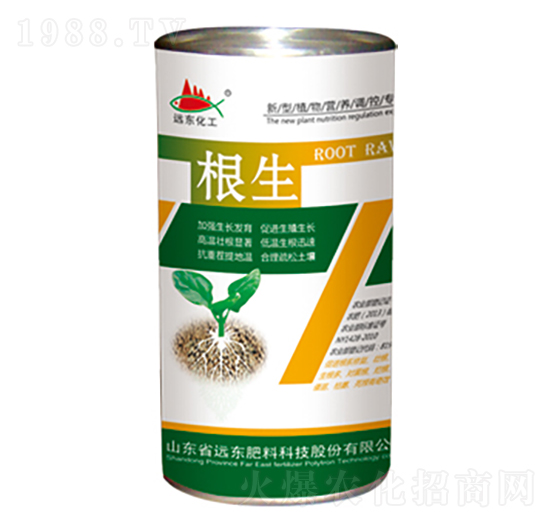 ����-�h�|����