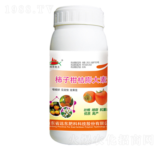 ���Ӹ̽������-�h(yu��n)�|����