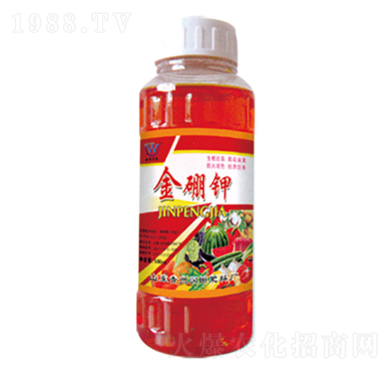 �����-�h�|����