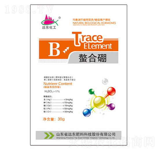 ������-�h�|����