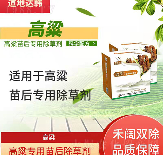 �������݄�-�������-��������-���n