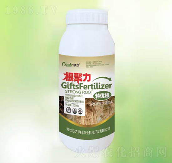 ������-�|������