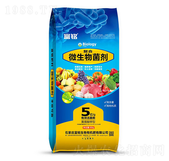 ΢�������-���