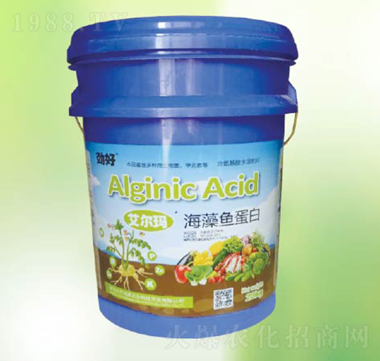 �����~����-�|������