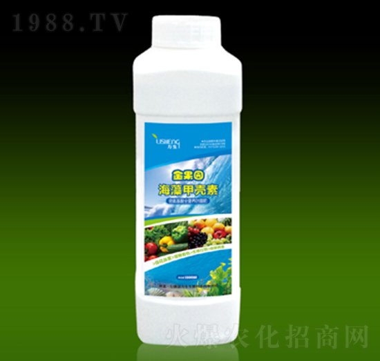 ����ך���-��������