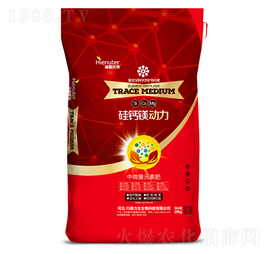 ���}�V��(d��ng)��-��������