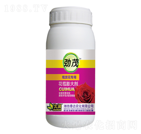 �^�p����(zhu��n)��-�������-̩�_(d��)�r(n��ng)��