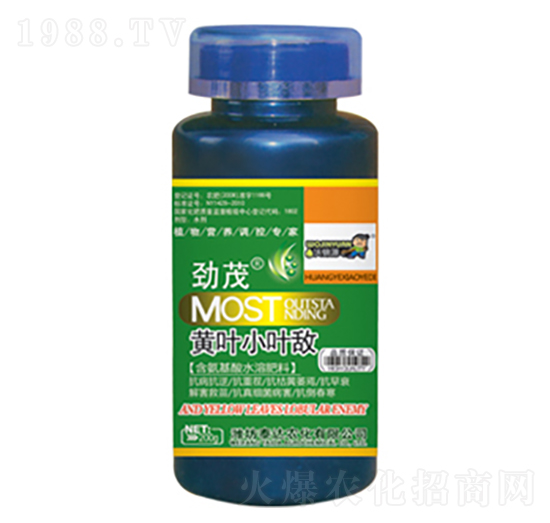 �S�~С�~��-̩�_�r��