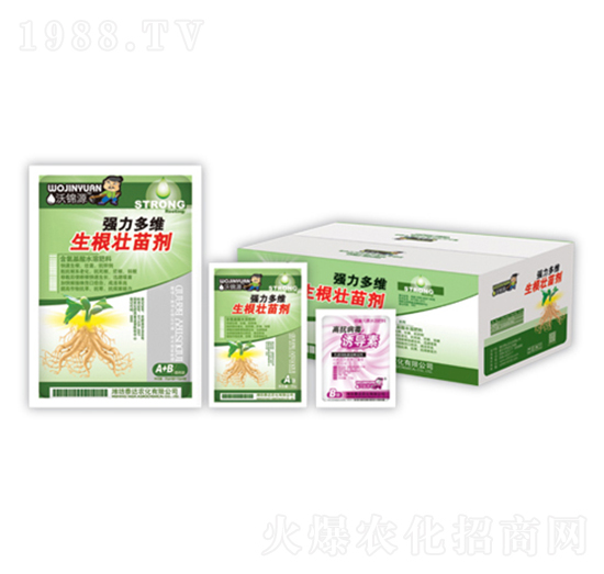 ������S�������焩+�T����-̩�_�r��