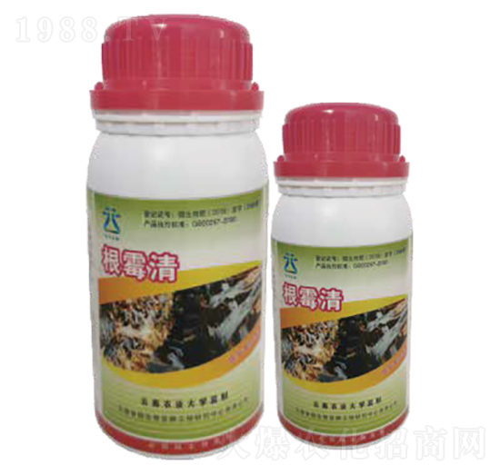 ��ù��2̖(h��o)-���~����