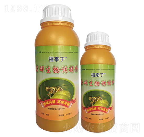 ��(sh��)ω�����T����-����(l��i)��-���~����