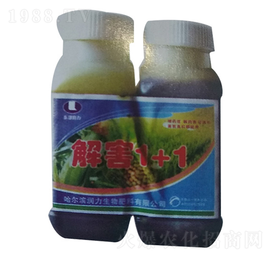 �⺦1+1-����